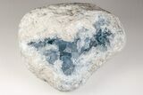 Sky Blue Celestite Geode - Large Crystals #201491-1
